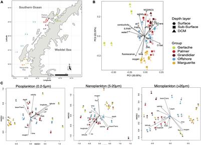 Diversity of Microbial Eukaryotes Along the West Antarctic Peninsula in Austral Spring
